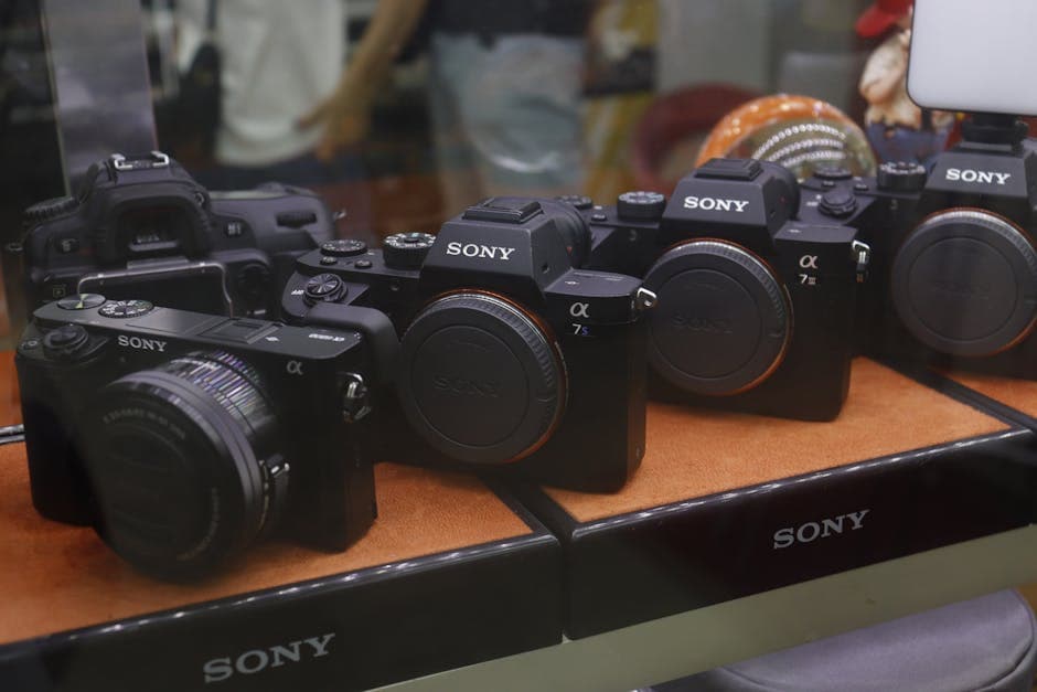 Canon EOS R6 + RF 24-105mm Lens