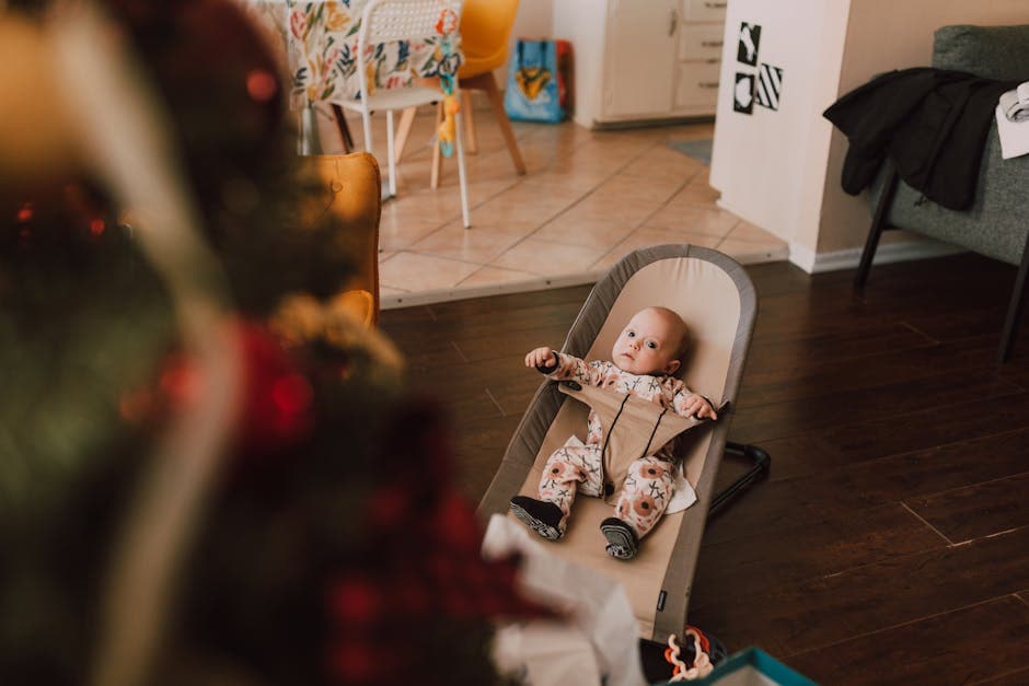 Baby Bjorn Bouncer
