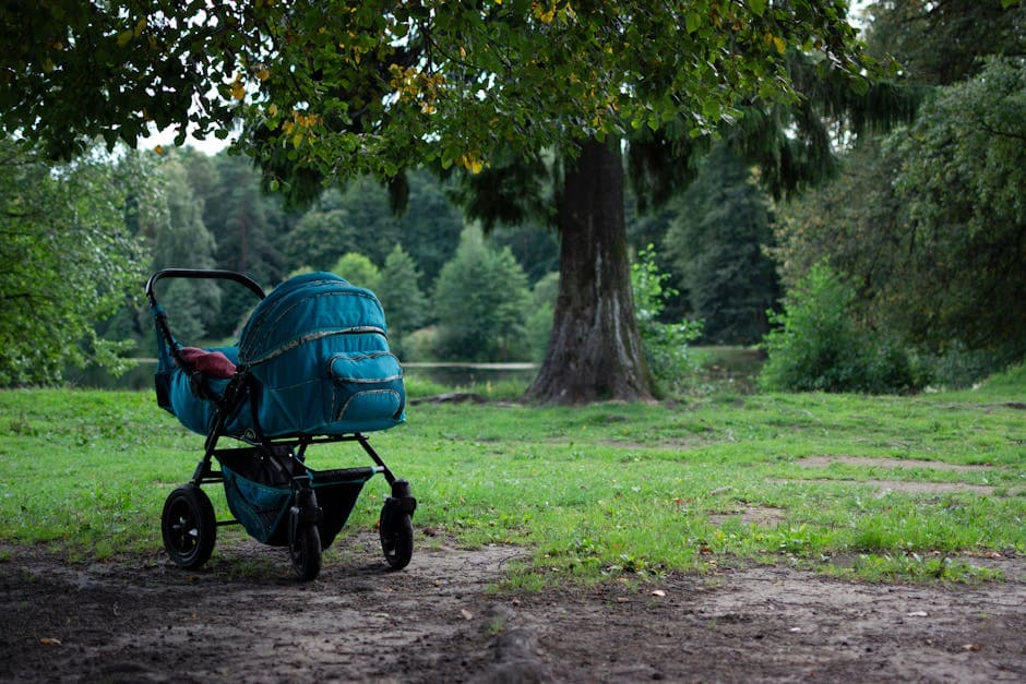 UPPAbaby Vista Stroller