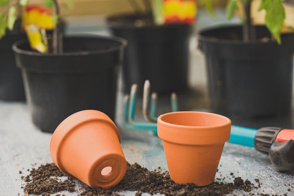 Terracotta Pots, Set of 6
