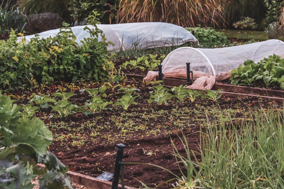 Raised Garden Bed Kit, Cedar