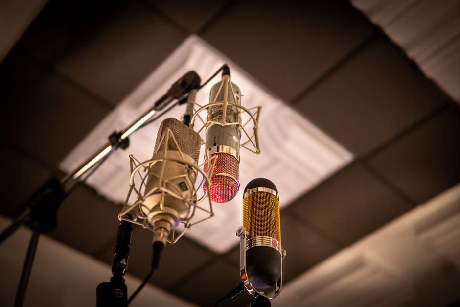 Shure SM58 Microphone