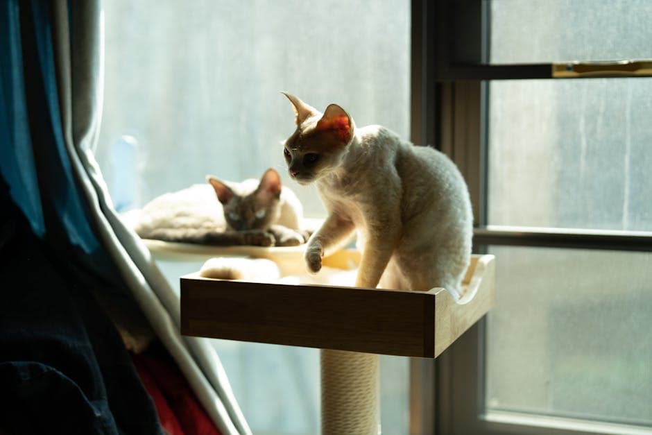 Cat Tree Tower, 5ft
