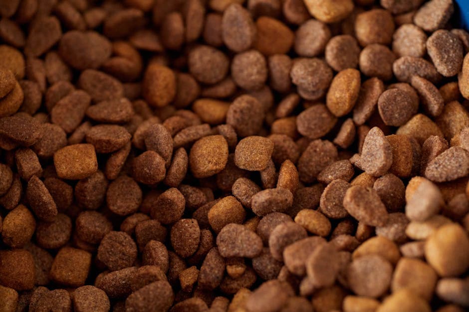 Premium Dog Food, Sealed Bags