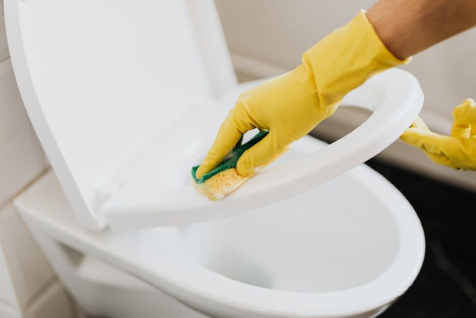 Professional House Cleaning